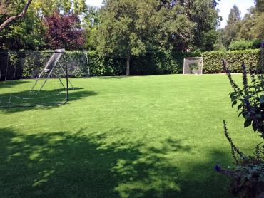 Artificial Grass Photos: Fake Pet Grass Glen Avon California Back and Front Yard